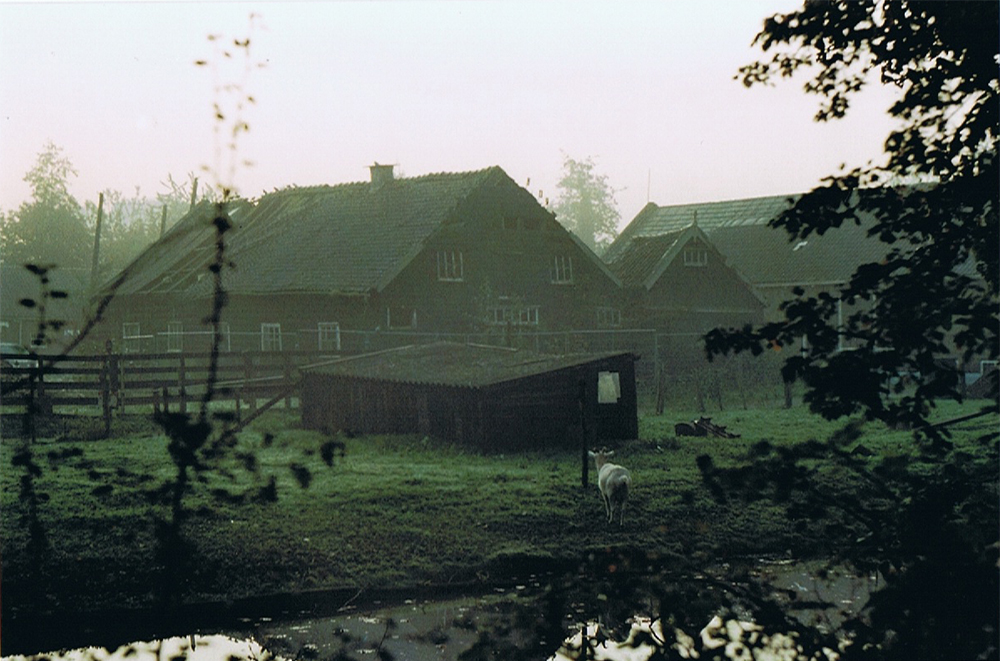 Farm