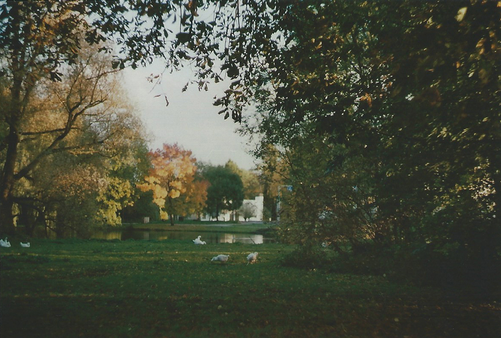 Autumn in Kralingen