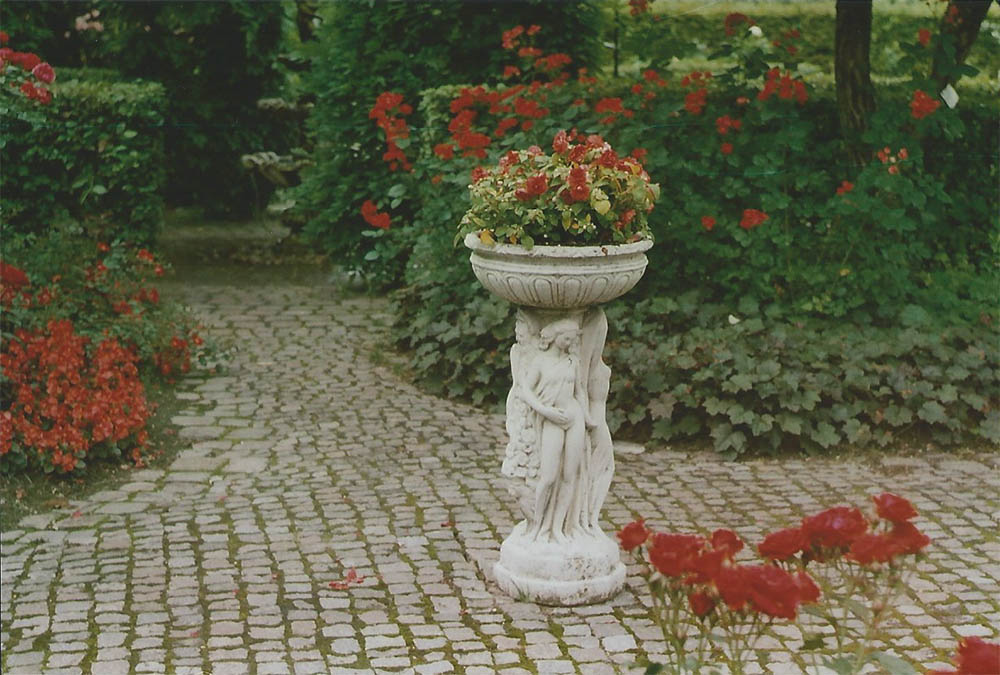 Roses in the Castle Arcen garden