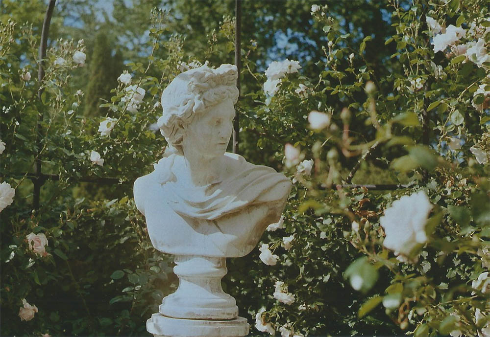 Bust in the rose garden