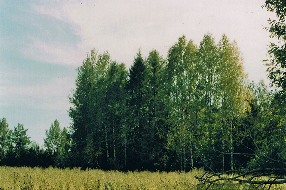 Russian countryside