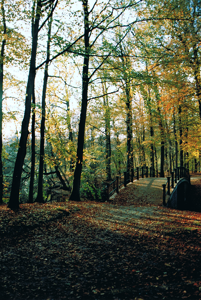 Autumn at Soestdijk Palace