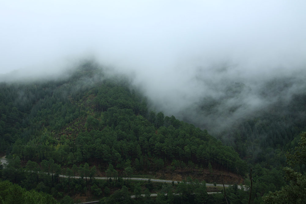 Parc National des Cévennes