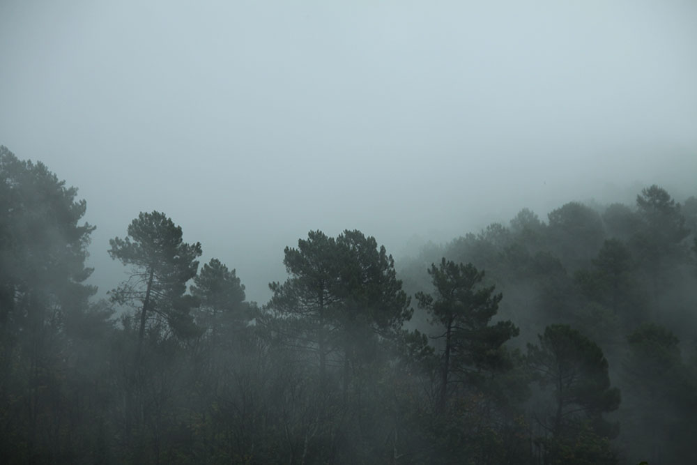 Parc National des Cévennes