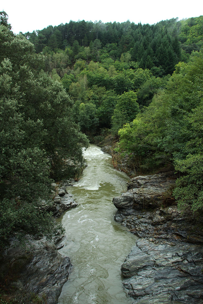 Parc National des Cévennes