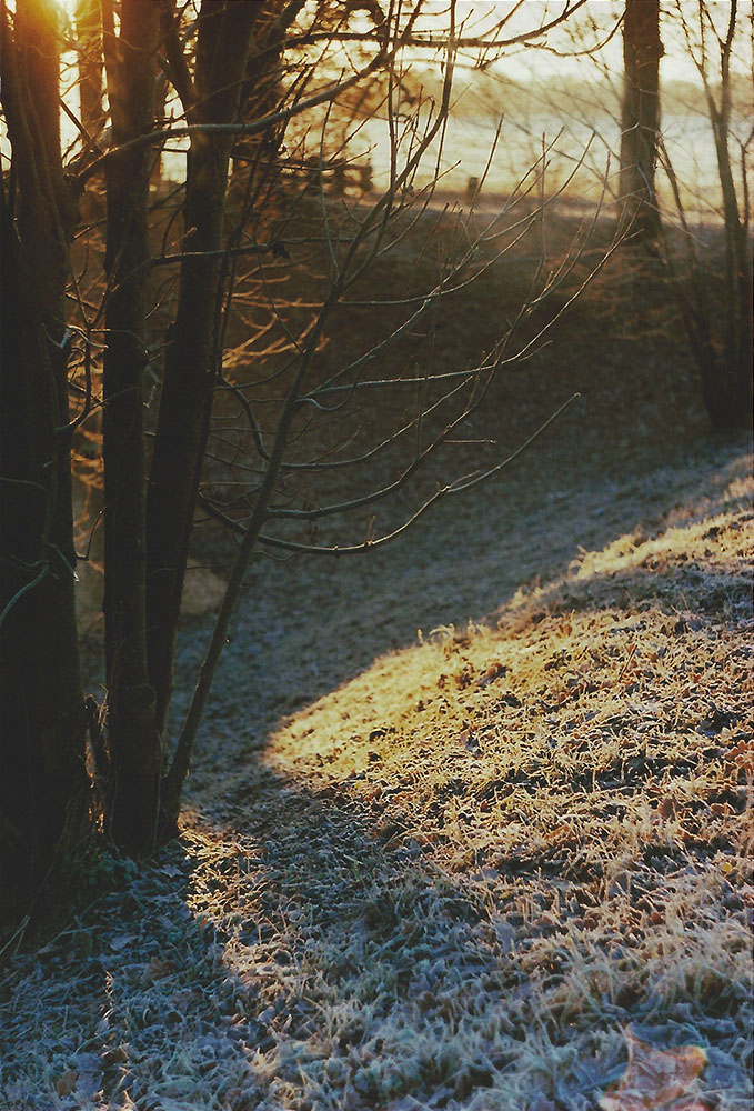 Winter Morning | another reverie